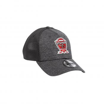 New Era Baseball Hat // gray